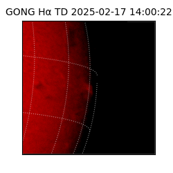 gong - 2025-02-17T14:00:22
