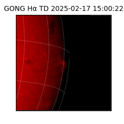 gong - 2025-02-17T15:00:22