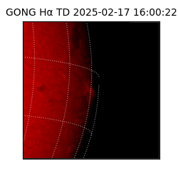 gong - 2025-02-17T16:00:22