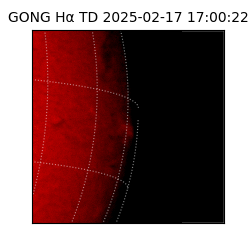 gong - 2025-02-17T17:00:22