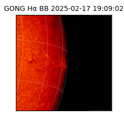 gong - 2025-02-17T19:09:02