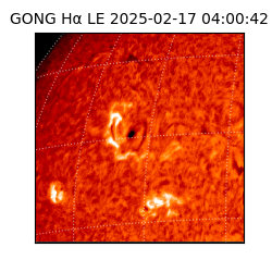 gong - 2025-02-17T04:00:42