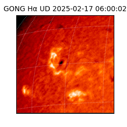 gong - 2025-02-17T06:00:02