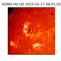 gong - 2025-02-17T08:01:02
