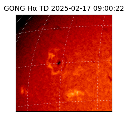gong - 2025-02-17T09:00:22