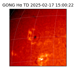 gong - 2025-02-17T15:00:22