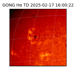 gong - 2025-02-17T16:00:22