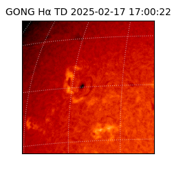 gong - 2025-02-17T17:00:22