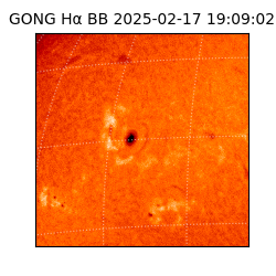 gong - 2025-02-17T19:09:02