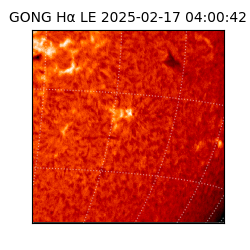 gong - 2025-02-17T04:00:42