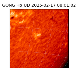 gong - 2025-02-17T08:01:02