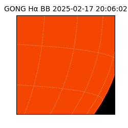 gong - 2025-02-17T20:06:02
