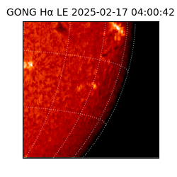 gong - 2025-02-17T04:00:42