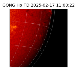 gong - 2025-02-17T11:00:22