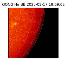 gong - 2025-02-17T19:09:02