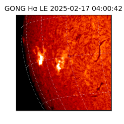gong - 2025-02-17T04:00:42