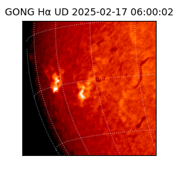 gong - 2025-02-17T06:00:02