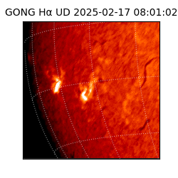 gong - 2025-02-17T08:01:02
