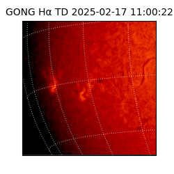 gong - 2025-02-17T11:00:22