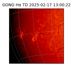 gong - 2025-02-17T13:00:22