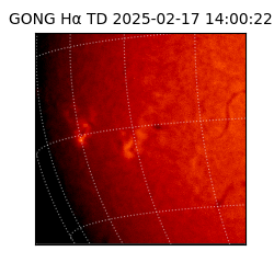 gong - 2025-02-17T14:00:22