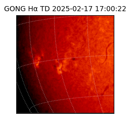 gong - 2025-02-17T17:00:22