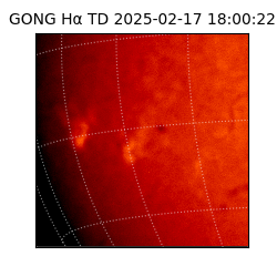 gong - 2025-02-17T18:00:22