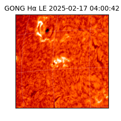 gong - 2025-02-17T04:00:42