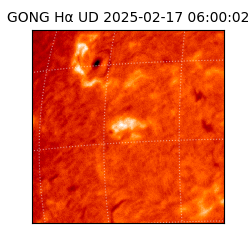 gong - 2025-02-17T06:00:02