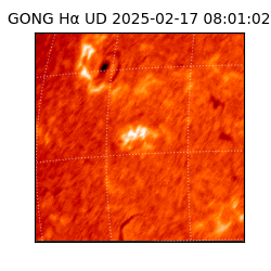 gong - 2025-02-17T08:01:02