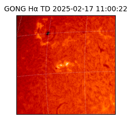 gong - 2025-02-17T11:00:22