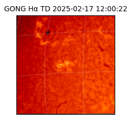 gong - 2025-02-17T12:00:22