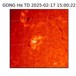 gong - 2025-02-17T15:00:22