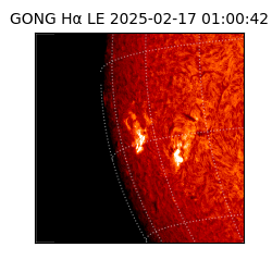 gong - 2025-02-17T01:00:42