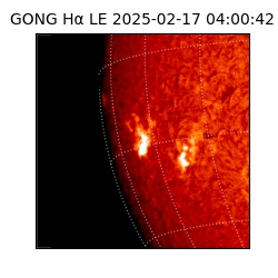 gong - 2025-02-17T04:00:42