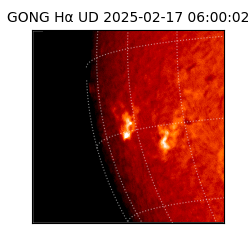 gong - 2025-02-17T06:00:02