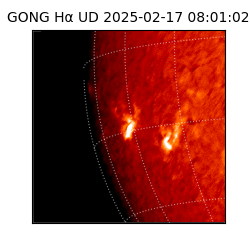 gong - 2025-02-17T08:01:02
