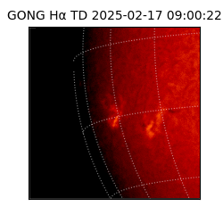 gong - 2025-02-17T09:00:22