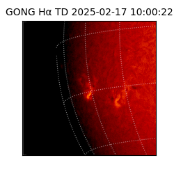 gong - 2025-02-17T10:00:22