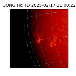 gong - 2025-02-17T11:00:22