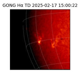 gong - 2025-02-17T15:00:22