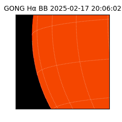 gong - 2025-02-17T20:06:02