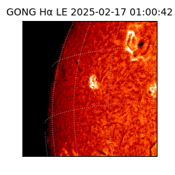 gong - 2025-02-17T01:00:42