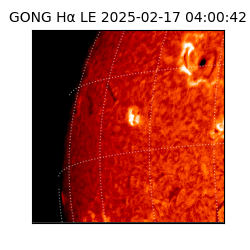 gong - 2025-02-17T04:00:42