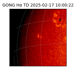 gong - 2025-02-17T10:00:22