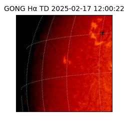 gong - 2025-02-17T12:00:22