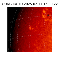 gong - 2025-02-17T16:00:22