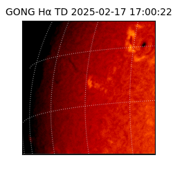gong - 2025-02-17T17:00:22