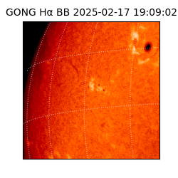 gong - 2025-02-17T19:09:02