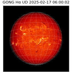 gong - 2025-02-17T06:00:02